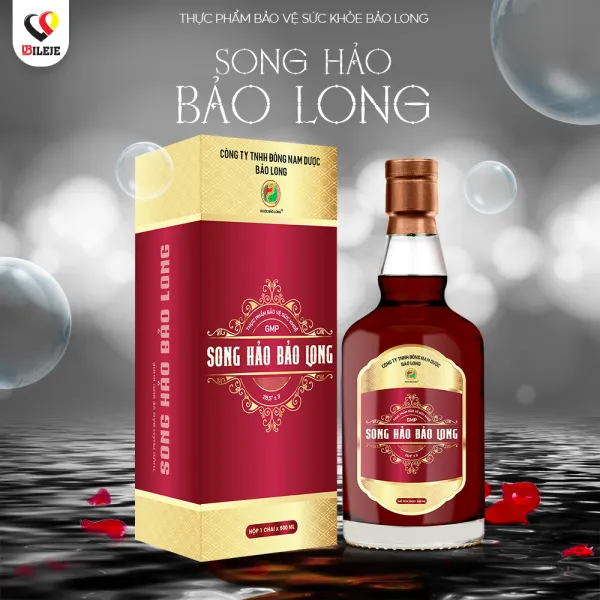 SONG HẢO BẢO LONG